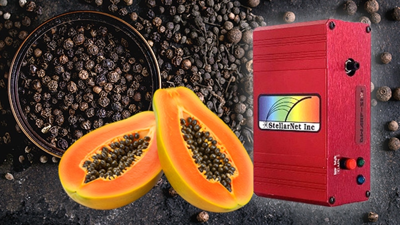 2025_-Papaya-Seed-Adulteration-in-Black-Pepper-Using-NIR-Spectroscopy Detecting Carica Papaya Seed Adulteration in Black Pepper Using NIR Spectroscopy