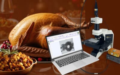 A Spectral Feast: StellarNet’s Thanksgiving Spectroscopy Special