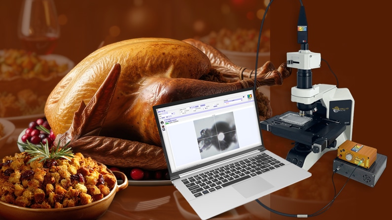 StellarNet’s﻿ ﻿Thanksgiving Spectroscopy Special
