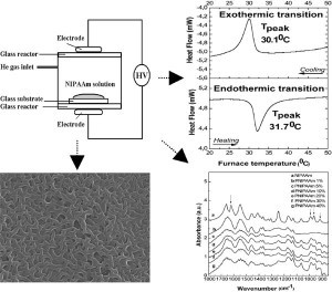 Abstract Figure- In Situ Polymerization of Aqueous Solutions of NIPAAm Initiated by Atmospheric Plasma Treatment