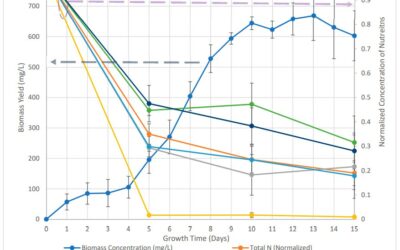 Algal Remediation of Wastewater Produced from Hydrothermally Treated Septage