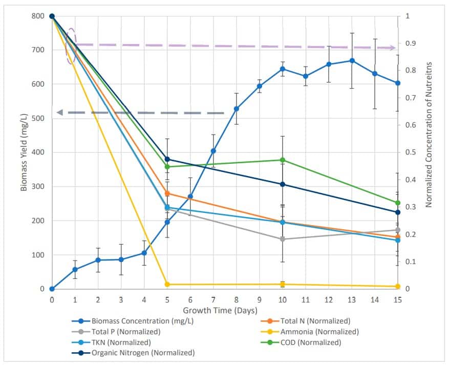 Algal Remediation of Wastewater Produced from Hydrothermally Treated Septage