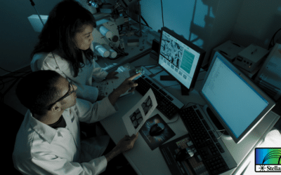 In-Loco Optical Spectroscopy through a Multiple Digital Lock-In on a Linear Charge-Coupled Device (CCD) Array