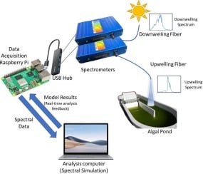 Autonomous monitoring of algal biomass: Success stories and lessons learned from long-term field deployment