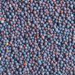 Canola Analysis
