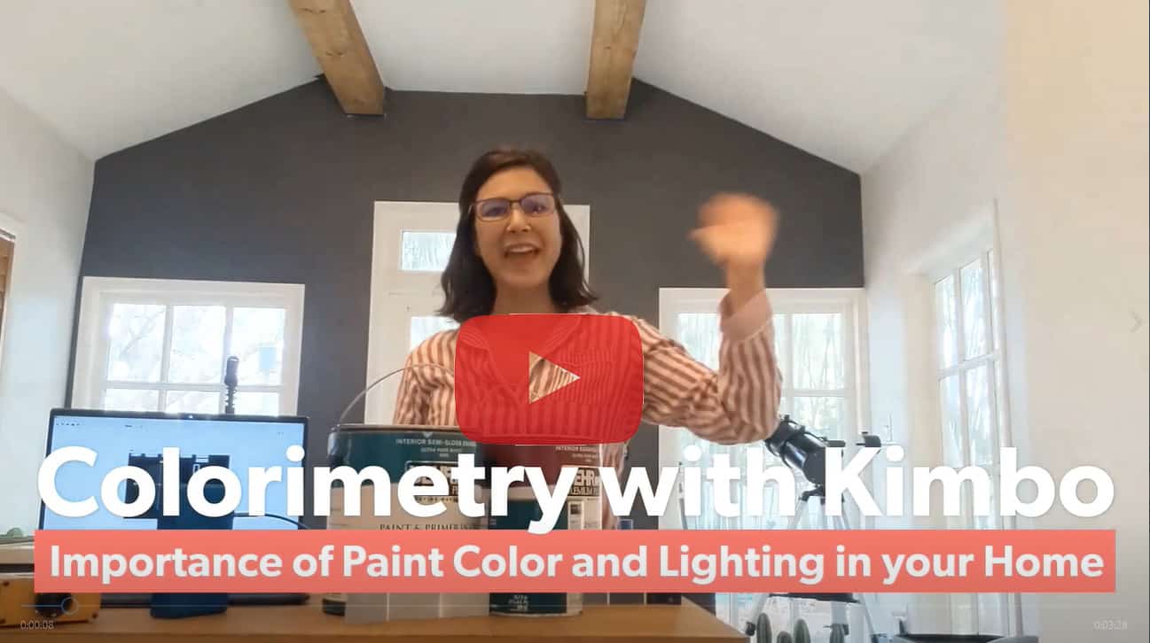 Spectroscopy from Home with Kimbo & our StellarNet COVID-19 Update