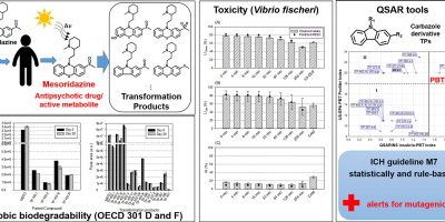 Combination of experimental and in silico methods for the assessment of the phototransformation products of the antipsychotic drug/metabolite Mesoridazine