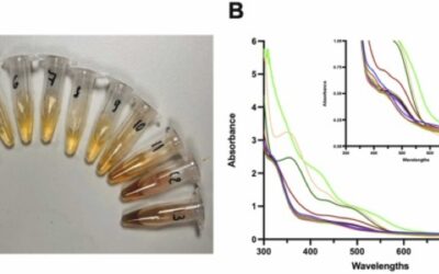 Composite films produced from upcycling of tropical fruit seeds are capable of monitoring shrimp freshness