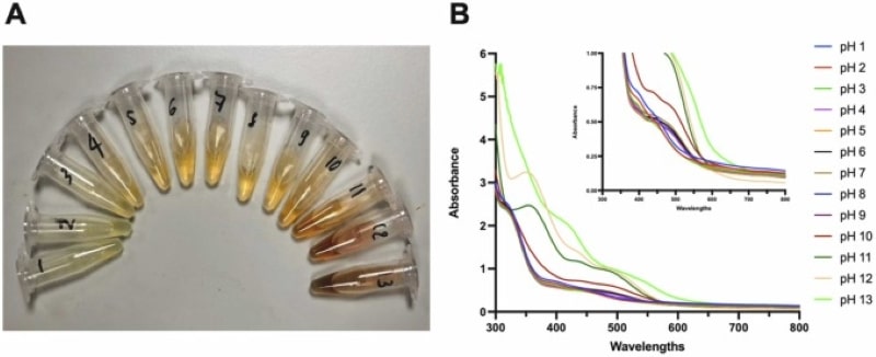 Composite films produced from upcycling of tropical fruit seeds are capable of monitoring shrimp freshness
