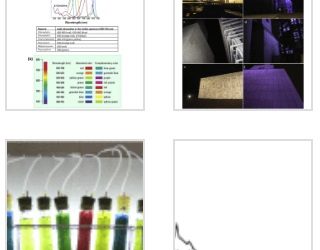 Controlling growth and colour of phototrophs by using simple and inexpensive coloured lighting: A preliminary study in the Light4Heritage project towards future strategies for outdoor illumination