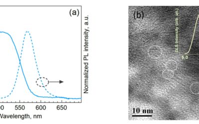 Core and Shell Contributions to the Phonon Spectra of CdTe/CdS Quantum Dots