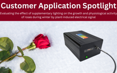 Evaluating the effect of supplementary lighting on the growth and physiological activity of roses during winter by plant-induced electrical signal