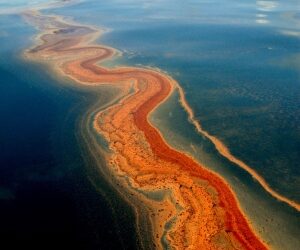 Partial photochemical oxidation was a dominant fate of Deepwater Horizon surface oil