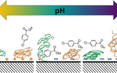 Delineating the Effects of Molecular and Colloidal Interactions of Dissolved Organic Matter on Titania Photocatalysis