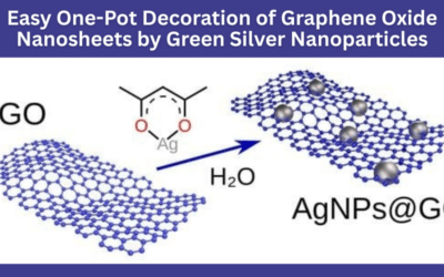 Easy One-Pot Decoration of Graphene Oxide Nanosheets by Green Silver Nanoparticles