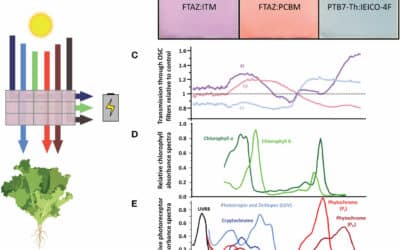 Emergent molecular traits of lettuce and tomato grown under wavelength-selective solar cells