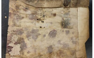 Evaluation of the Irradiation Treatment Effects on Ancient Parchment Samples