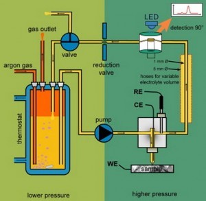 Fig. 2. Scheme of the complete experimental set-up for oxygen quantification.