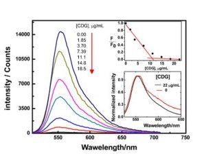 Fig. 5. Change of fluorescence spectra of R6G (3.6 μM) with increasing concentration of CDG. Emission was measured with excitation at 470 nm in aq. phase. Inset top: nonlinear relationship between intensity quenching (F/F0) vs. [CDG], F0, Fis the integrated fluorescence intensity in the absence and presence of CDG, respectively. Inset bottom: normalized emission for R6G when [CDG] is 0 and 22.2 μg/mL, respectively.