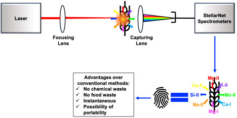 Figure1 LIBS