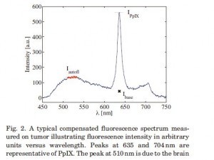 Fluorescence spectrum on tumor with StellarNet spectrometer