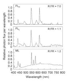 Fig. -Light spectra of lamps. FLH = fluorescent lamp with high red-to-far-red ratio (R:FR); FLL = fluorescent lamp with low R:FR; ML = metalhalide lamp that provides a spectrum similar to that of natural light. Relative photon fluxes per unit wavelength are expressed relative to the maximum. The R:FR was estimated by dividing the total photon flux from red light (600 to 700 nm) by that from far-red light (700 to 800 nm).