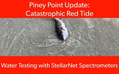 Piney Point Update: Catastrophic Red Tide in Tampa Bay – Water Quality Testing using StellarNet UV-VIS Spectrometers