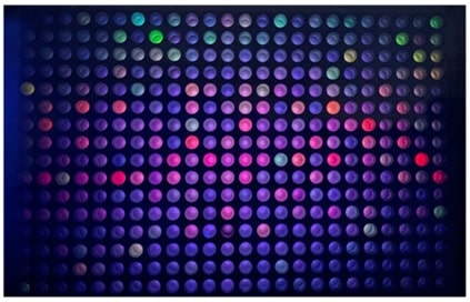 Image of fluorescent Ag-DNAs on a well-plate