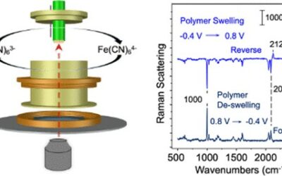 In Situ Confocal Raman Microscopy of Redox Polymer Films on Bulk Electrode Supports