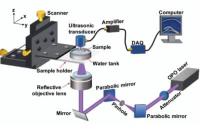 Label-free differential imaging of cellular components in mouse brain tissue by wide-band photoacoustic microscopy