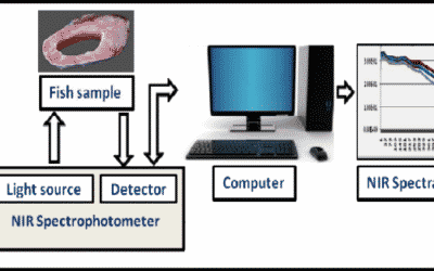 Layer-by-layer characterizations of protein complexes by surface plasmon resonance enhanced Raman system – detection of heparin-platelet factor IV complexes as an example