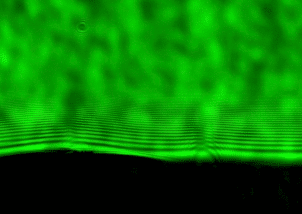 Nanosecond_Shadowgraph_Before