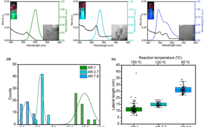 Horizontally Aligned Dipole Emission through Solvent Controlled Fusing of Perovskite Nanocubes and Nanoplates into 1D Nanowires