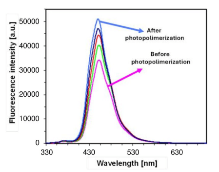 Study of the photopolymerization process of luminescent labeled photocurable compositions in liquid and gas media