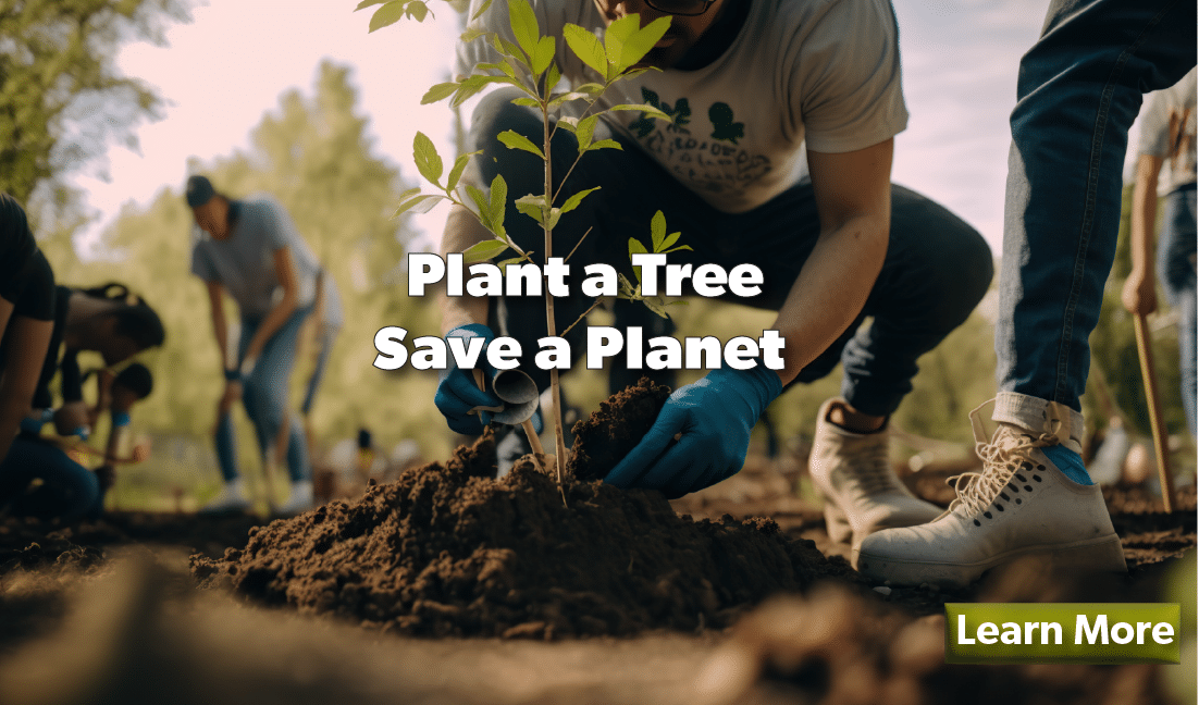 Plant a tree