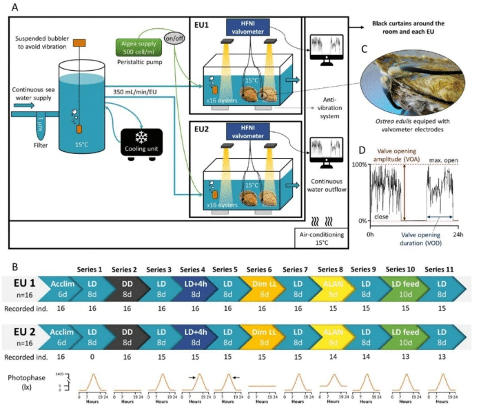 Prepared-UC-phosphors