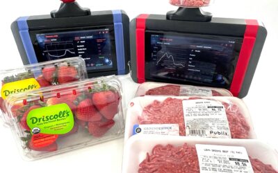 Summer Spectroscopy BBQ- Quality Analysis of Meats and Fresh Fruits