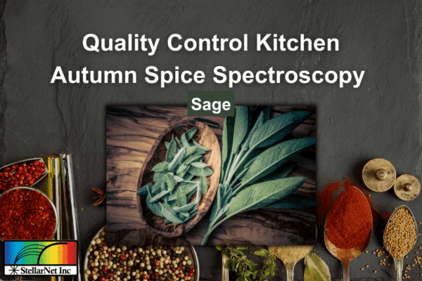 Quality Control Kitchen: Autumn Spice Spectroscopy