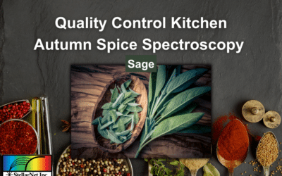 Quality Control Kitchen: Autumn Spice Spectroscopy
