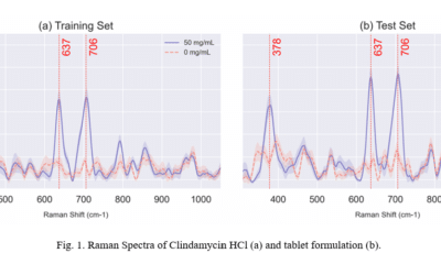 Raman spectroscopy and machine learning can quantitatively asses clindamycin in liquid samples