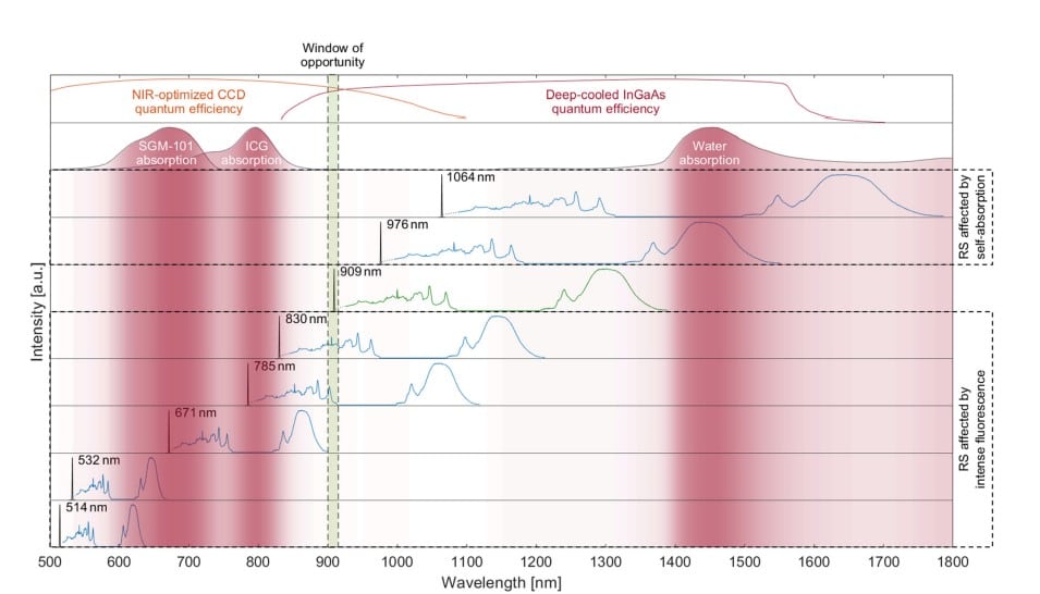 Raman and Fluorescence Imaging Overlap