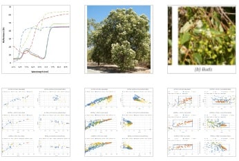 Simple remote sensing detection of Corymbia calophylla flowers using common 3 –band imaging sensors