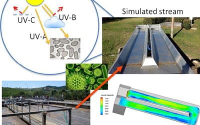 Simulating the fate of indigenous antibiotic resistant bacteria in a mild slope wastewater polluted stream