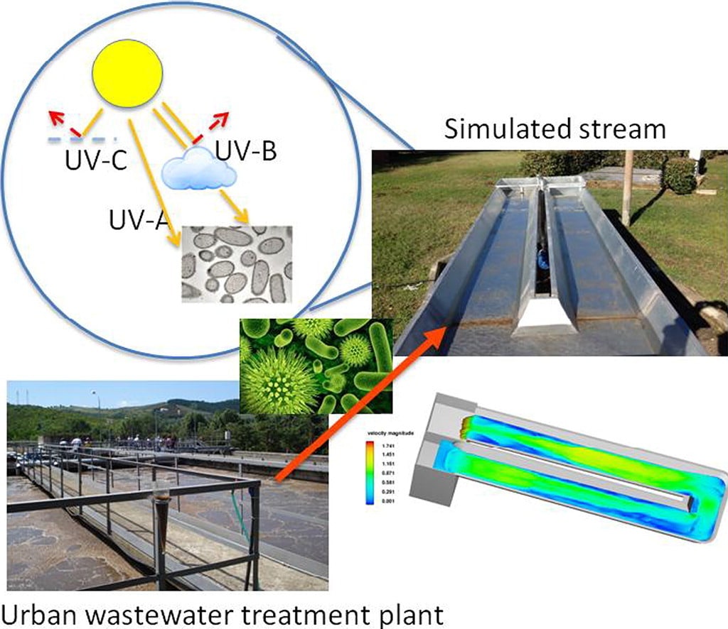 Simulating the fate of indigenous antibiotic resistant bacteria in a mild slope wastewater polluted stream