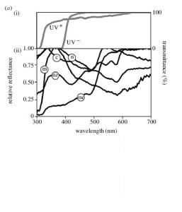 Spectral Reflectance of Fish with StellarNet spectrometer