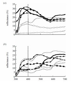 Spectral Reflectance of xiphophorus nigrensis with StellarNet spectrometer