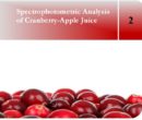 Spectrophotometric Analysis