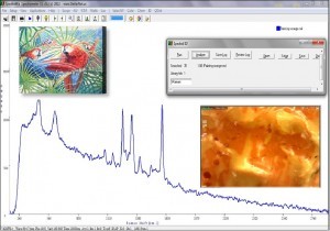 StellarNet Raman Microscopy of Art