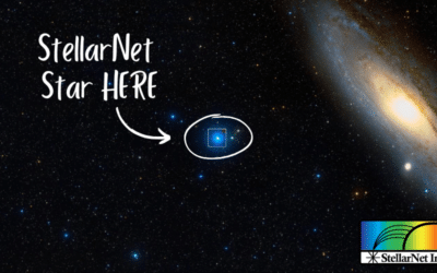The StellarNet Star