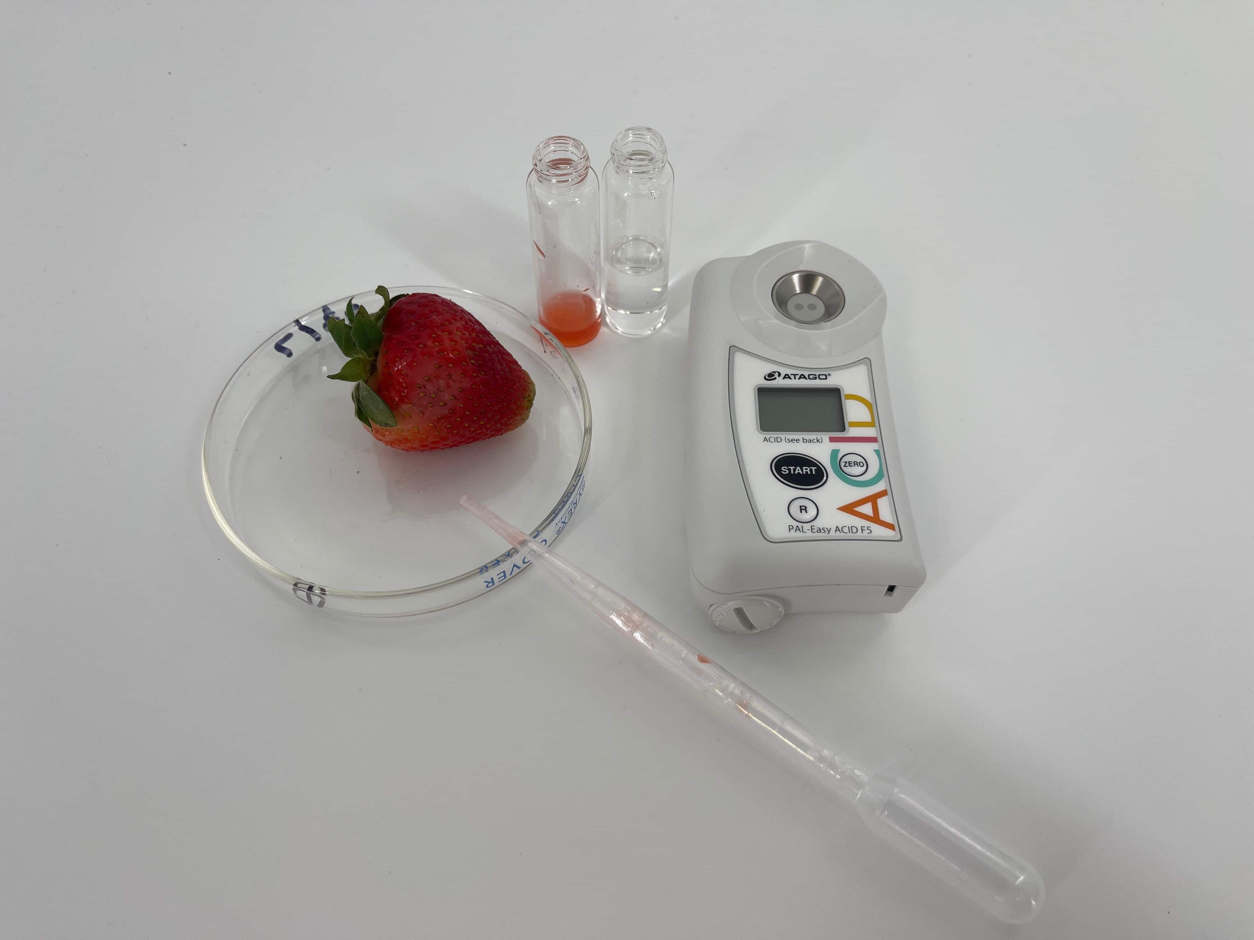 Strawberry Total Acid Testing